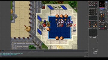 Tibia Rowana few kills