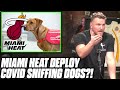 Pat McAfee Reacts To The Miami Heat's COVID Sniffing Dogs