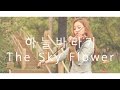 Jung Eun Ji - hopefully sky violin cover