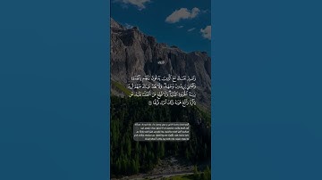 واصبر نفسك مع الذين يدعون ربهم | سورة الكهف {آية ٢٨} القارئ / نـــــــــــاصر القطــــــــــامي