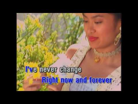 Never Change My Love For You karaoke - Tuan Khanh