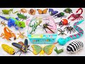 ZURU ROBO ALIVE COLLECTION | UNBOXING Robo Snake, Robo Lizard, Aquarium Compilation | ASMR