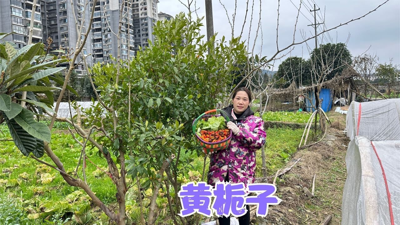 一家三口去喝上梁酒，撒糖现场超热闹，阿恋为大雪的到来提前备菜