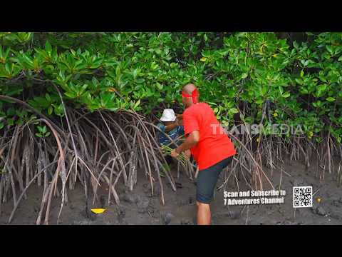 Si Botak Mencari Buah Bakau | JEJAK SI GUNDUL (13/08/26)