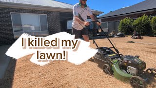 I killed my lawn // seeding Rye Grass for cooler months