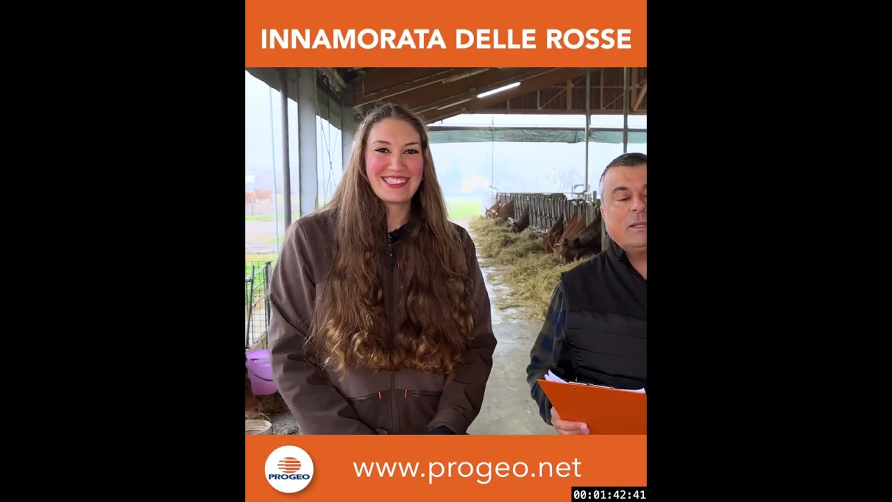 PROGEO 2025 Vacche Rosse 01 Stalla preview 4