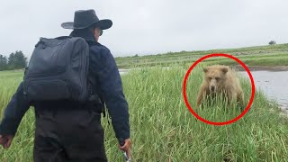 6 Bear Encounters You Shouldn't Watch Alone