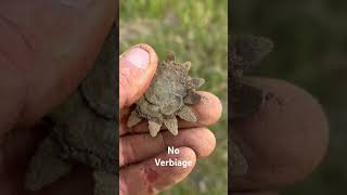 Reliving History, One Old Relic At A Time! #relic #metaldetecting #viral #trending #shorts #fancy