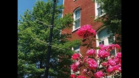 قراءة ماتيسر من سورة السبأ مع الفاتحه للقارئ ابراهيم البلوشي