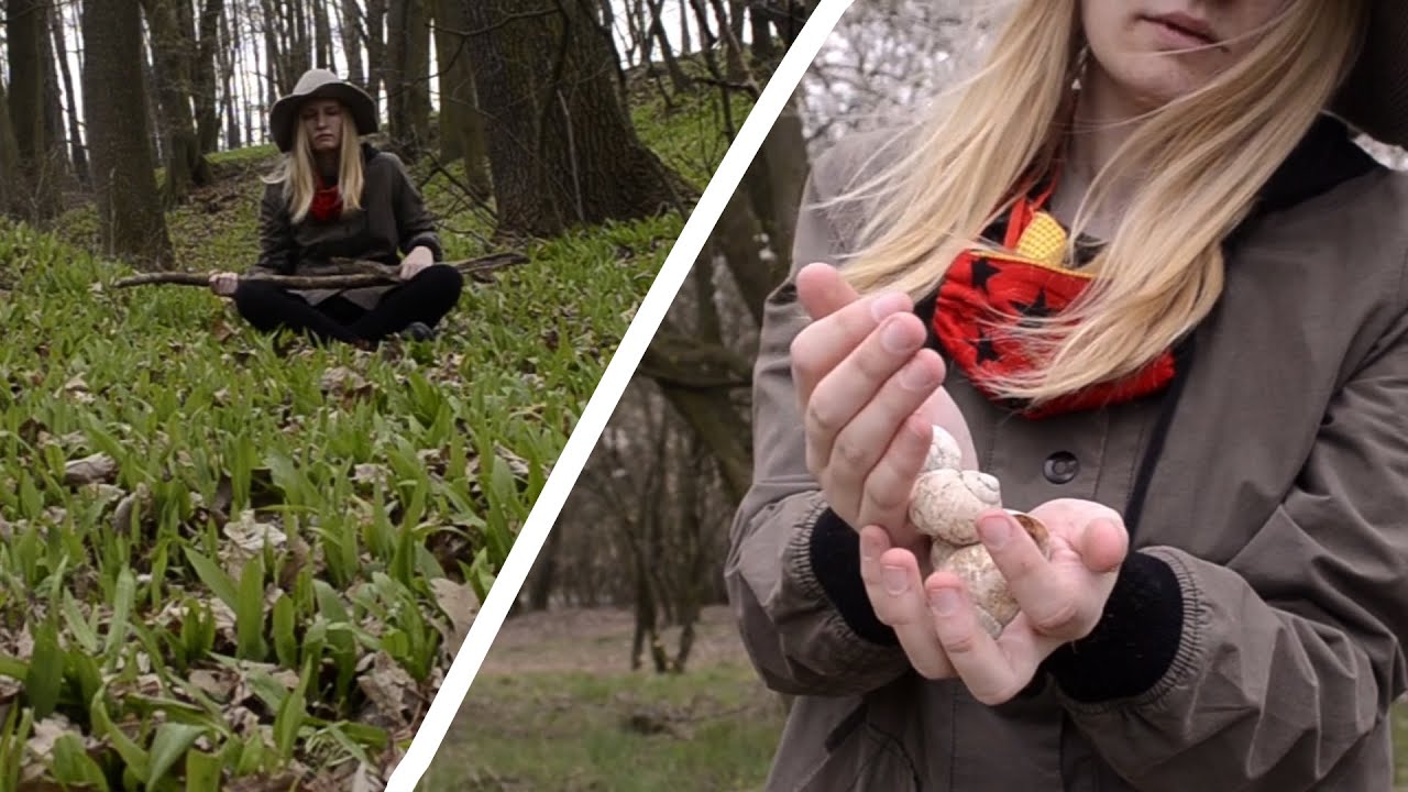 nature ASMR - 🌼 First spring flowers 🌼 and snail shell sounds 🐚 - YouTube