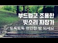 10시간 ASMR - 빗소리 자장가,  조용한 시골 연못, 우산 속 비오는 소리, 잠잘오는 백색소음