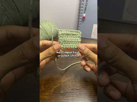 1 Of The Top 5 Stitches Crochet For Absolute Beginners Half Double Crochet Crochet Beginner 