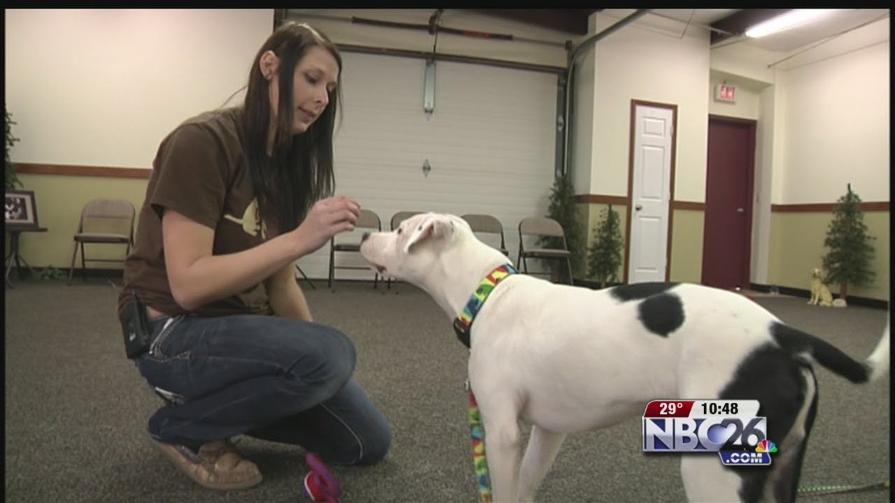 Fox Valley Women Rescuing Underdogs YouTube