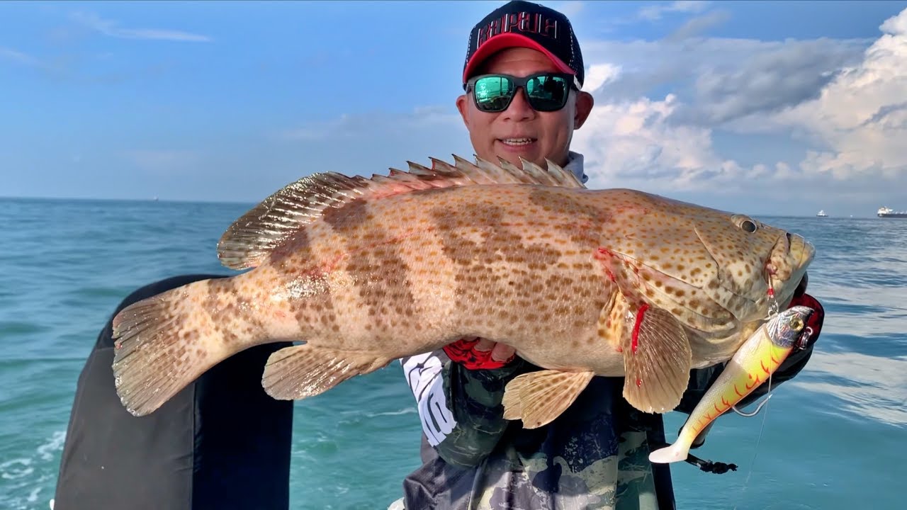 Grouper Fishing In Singapore