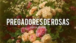 Pregadores de rosas | Marcos Antônio | Letra |》♡