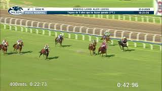 Vidéo de la course PMU PREMIO LORD ALEX 2019 (1ER PELOTON)