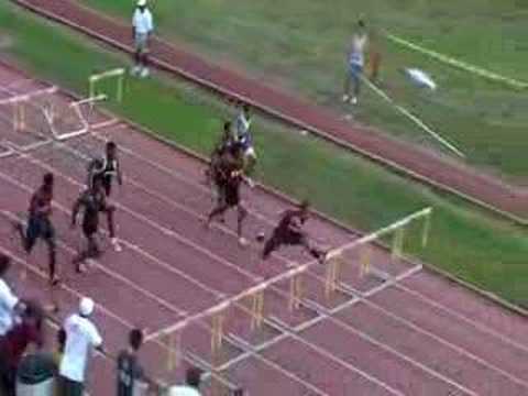 Boys 110 High Hurdles HHSAA Track and Field Championship