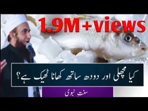 वीडियो: मशरूम के साथ दूध सॉस में मछली Fish