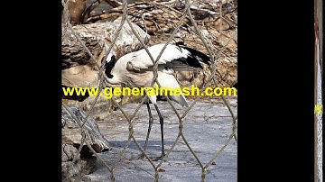 Generalmesh zoo aviary cage stainless steel fencing,aviary rope mesh, zoo aviary netting