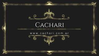 Cachari