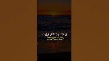 قرأن كريم بصوت الشيخ خالد الجليل تلاوه تريح القلوب ❤❤🌹