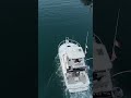 may 8 2025 Cabo San Lucas Fishing with Blue Sky Cabo #1 on TripAdvisor
