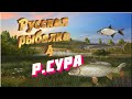 rf4 . русская рыбалка 4. р  Сура . сазан ,  лещь,  стерлядь,  угорь , судак , берш