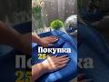 Подушка ортопедическая для сидения 🪑 wb 379172546