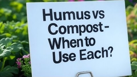 Humus vs Compost - Which to Use And When, Plus How to Make Each