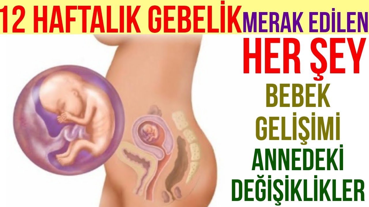 12 Еженедельно Беременность (2020)