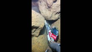 Diving boyの配信のサムネイル画像