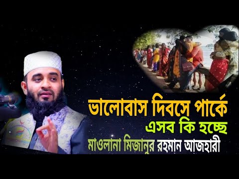 ভিডিও: যখন ভালোবাসা দিবস উদযাপিত হয়