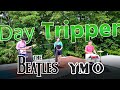 【Delights】Day Tripper デイトリッパー | YMO COVER カバー コピー ビートルズ Beatles Rooftop Concert (2021)