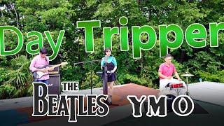 【Delights】Day Tripper デイトリッパー | YMO COVER カバー コピー ビートルズ Beatles Rooftop Concert (2021)