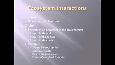 Introduction to Ecology