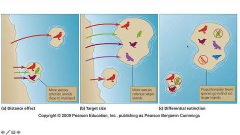 Island Biogeography Theory