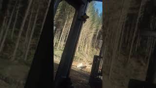 nz logging timberpro unloading