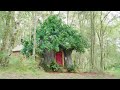 BearBnB | Airbnb ispirato a Winnie The Pooh