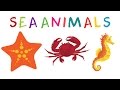 Learn Sea Animals for Kids | Water Animals | Animals in the Sea, Ocean