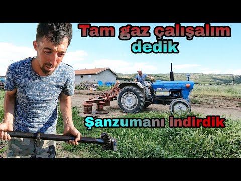 TAM İŞ ZAMANI OLACAK İŞ Mİ??BU!!!