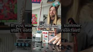 @arpelectro is the Flute-FX Fuzz Master!☢️ #hornfx