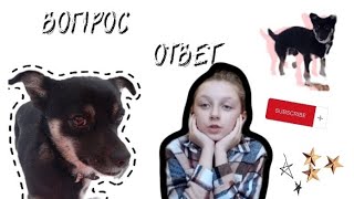 ВОПРОС-ОТВЕТ на вопросы про ГАФФИ||GuffyOfficial