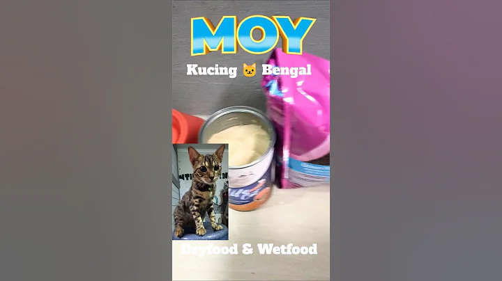 Video 10735591: bengalcat bengals, kucing bengal mix