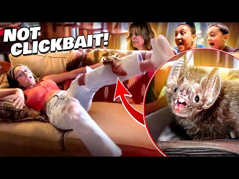 a WILD Laughing BAT Crawled on LEX!! Scariest Surprise Moment of LIFE! (FV Family UNPLANNED Vlog)