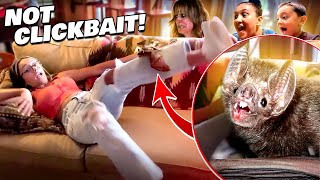 a WILD Laughing BAT Crawled on LEX!! Scariest Surprise Moment of LIFE! (FV Family UNPLANNED Vlog)