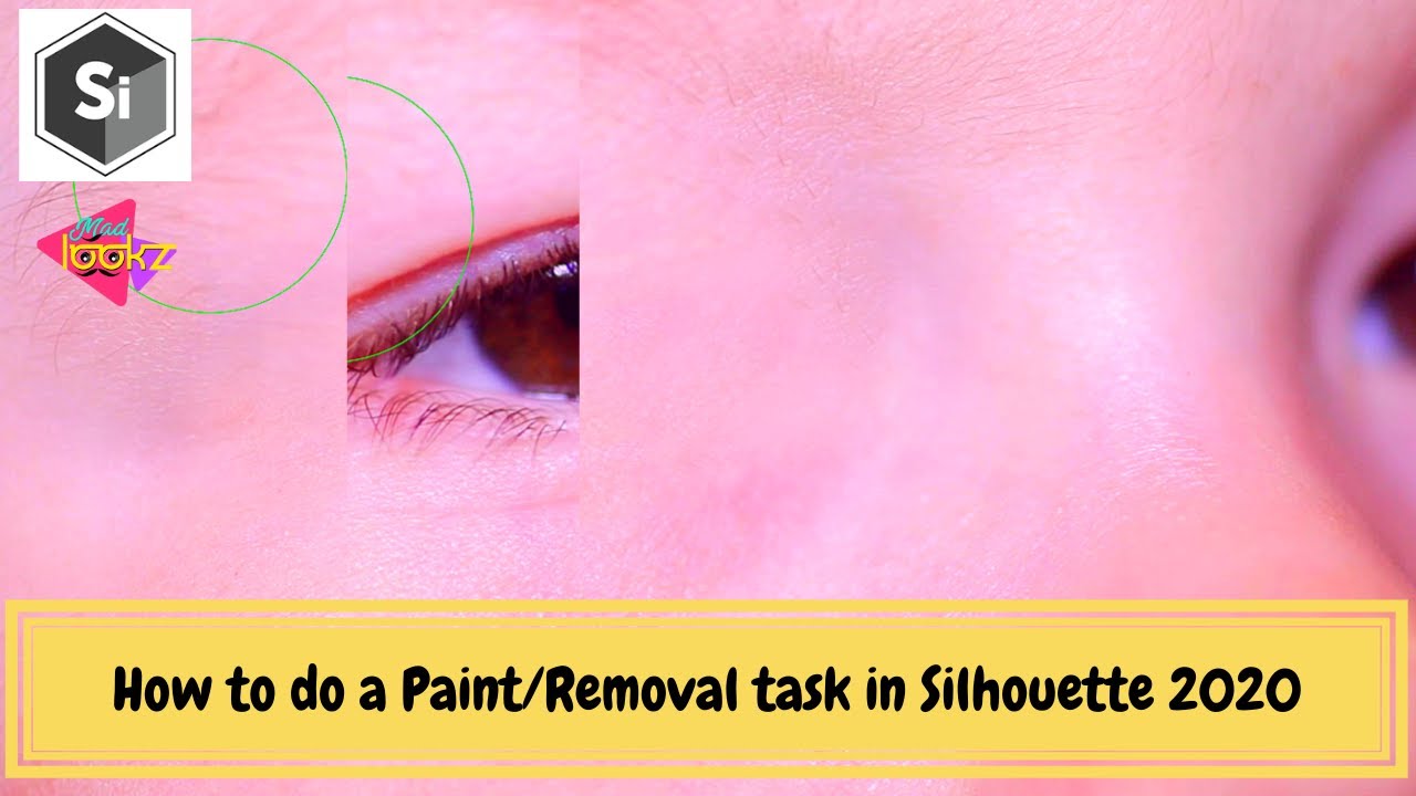 Silhouette tutorial l How to do a Paint/Removal task in Silhouette 2020 l  Boris FX Silhouette paint - YouTube