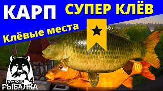 КАРП ► СУПЕР КЛЁВ ТРОФЕЙ ► ФАРМ ✅ РУССКАЯ РЫБАЛКА 4 Russian Fishing 4 РР4