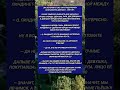 #история #историиизжизни #аптека #противозачаточные #драма #неловкость #история