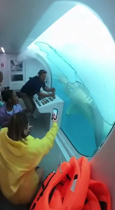 We Survived a Shark Attack Underwater!