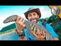 How to Catch a River Dragon!
